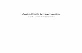 Autocad Intermedio Dos Dimensiones
