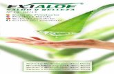 92711678 Exialoe Catalogo Aloe Vera