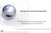 Tema 2. Como utilizan las empresas los Sistemas de Informacion.pdf