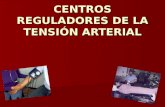 CENTROS REGULADORES DE LA TENSIÓN ARTERIAL