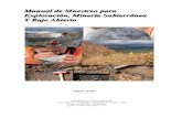 Manual de Muestreo Para la Exploración, Minería Subterránea y Rajo Abierto