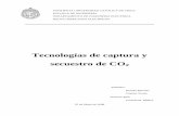 Informe Captura y Secuestro de CO2