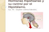56196704 Hormonas Hipofisarias y Su Control Por El Hipotalamo