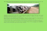 Informe Sobre Mejoramiento de Suelos Con Rotacion Con Cultivo de Frejol en Pastizales en La Hacienda Ganadera PDF