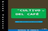 Ficha Técnica: Cafe 2013.