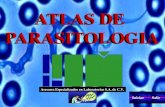 29510529 Atlas de Parasitologia