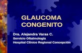 Glaucoma Congenito