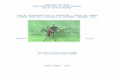 Plan Dengue 2013 (1)