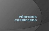 Pórfidos Cupríferos-Johana B.CH