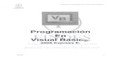 Manual de Programación en Visual Basic 2008