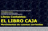 Libro Caja Cuentas Corrientes
