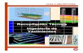 Recopilación Técnica Ingeniería de Yacimientos_Halliburton
