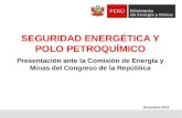 Proy Seg Energetica Jorge Merino