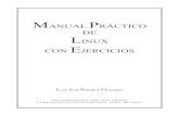 Manual Practico de Linux