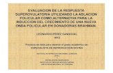Produccion de Embriones Usando La Ablacion Folicular Por Aldemar Chavez