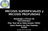 2946013 Micosis Superficiales y Micosis Profundas