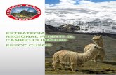 Estrategia Regional Frente Al Cambio Climatico ERFCC-Cusco