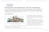 Proceso Productivo de La Madera | Procesos Productivos | Icarito