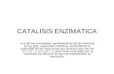 2-CATALISIS ENZIMATICA