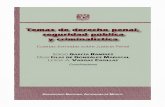Temas de Derecho Penal Seguridad Publica y Criminalistica - PDF