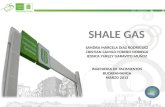 exposicion shale gas.pptx