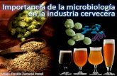 IMPORTANCIA DE LA MICROBIOLOGÍA EN LA INDUSTRIA CERVECERA_XIICONIA2012_UNPRG-LAMBAYEQUE
