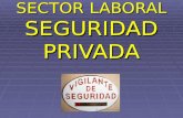 Sector Laboral Seguridad Privada