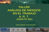Nuevo Taller de Analisis de Riesgo en el trabajo 2011.ppt