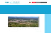 Análisis económico de las actividades causantes de la deforestación en Pichis-Palcazú
