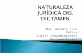 NATURALEZA JURÍDICA DEL DICTAMEN