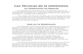 Manual de Telekinesis - Andres Prado
