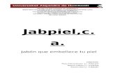61211618 Proyecto de Jabon Jabpiel c A