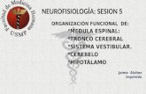 NEUROFISIOLOGIA_5a .pptx