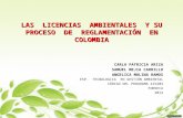 LAS LICENCIAS  AMBIENTALES  Y SU PROCESO DE REGLAMENTACIÓN  EN COLOMBIA