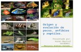 Origen y Evolución de Peces, Anfibios y Reptiles