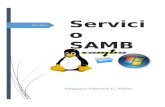 Informe Servicio Samba