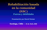 Chile - RBC-Fuerzas y Debilidades_RESUMEN 4-08