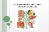 Enfermedades sistemas del cuerpo humano