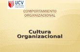 Cultura organizacional    copia