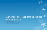 Centros de responsabilidad hospitalaria