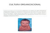 Dise±o Organizacional 1.8 cultura organizacional