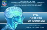 PNL Aplicada en Gerencia