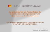 Presentación de María Ortiz - Consejera de la CNMC