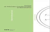 Crónica de tribunales constitucionales en iberoamérica - Eduardo Ferrer Mac-Gregor (Coordinador) - ISBN 9789872494148