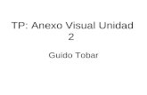Anexo visual unidad 2 de Guido Tobar 2011