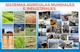Zonas agricolas e industriales mundiales(noveno)