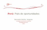Perspectivas de negocio en Peru