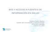 BVS y acceso a fuentes de información en salud