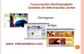 Red Camaleón: Comunicación Juvenil en Colombia