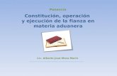Constitución, Operación y Ejecución de la Fianza en Materia Aduanera